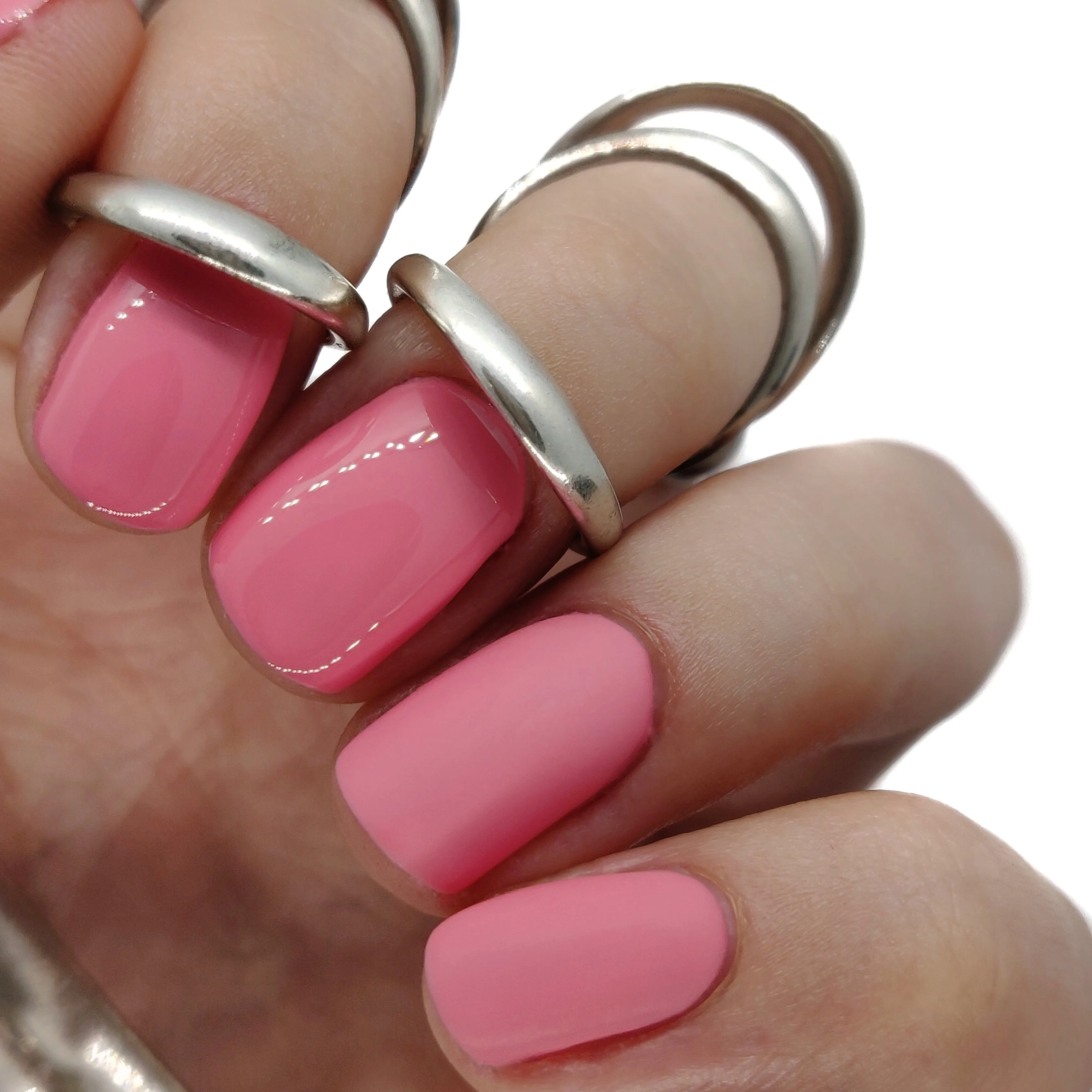 Bubble Gum