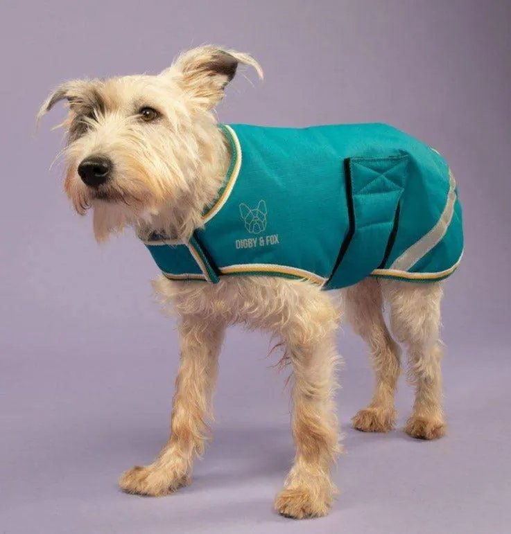 Digby & Fox Waterproof Dog Coat