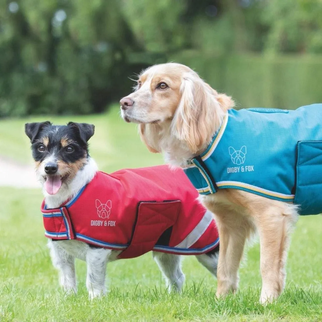 Digby & Fox Waterproof Dog Coat