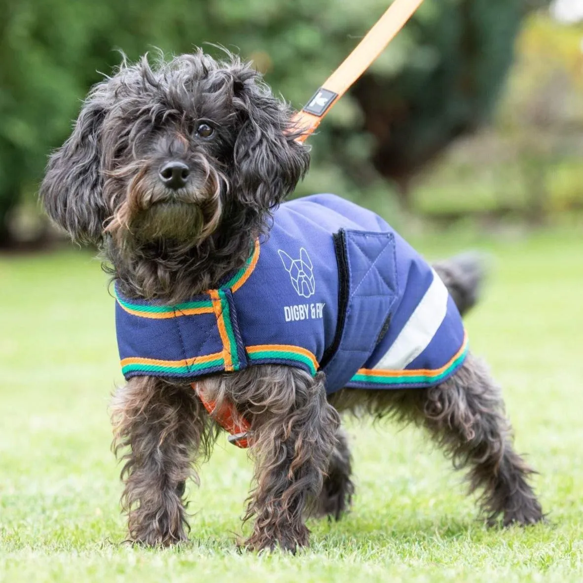 Digby & Fox Waterproof Dog Coat