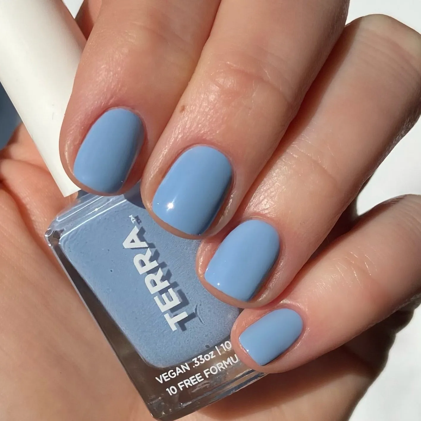Terra Nail Polish No. 31 Morning Dew