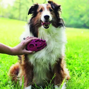 Zoom Groom Boysenberry - SMALL